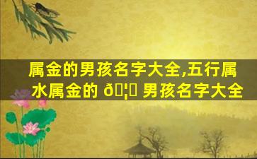 属金的男孩名字大全,五行属水属金的 🦄 男孩名字大全